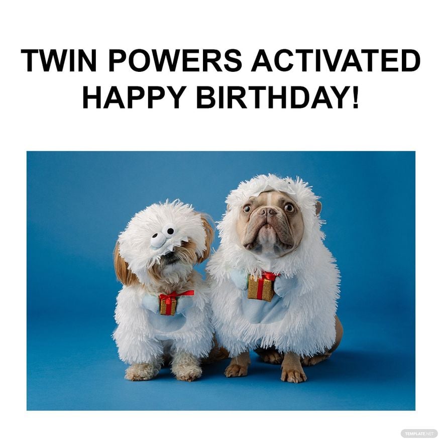 Happy Birthday Twins Meme in Illustrator, PSD, JPG, GIF, PNG