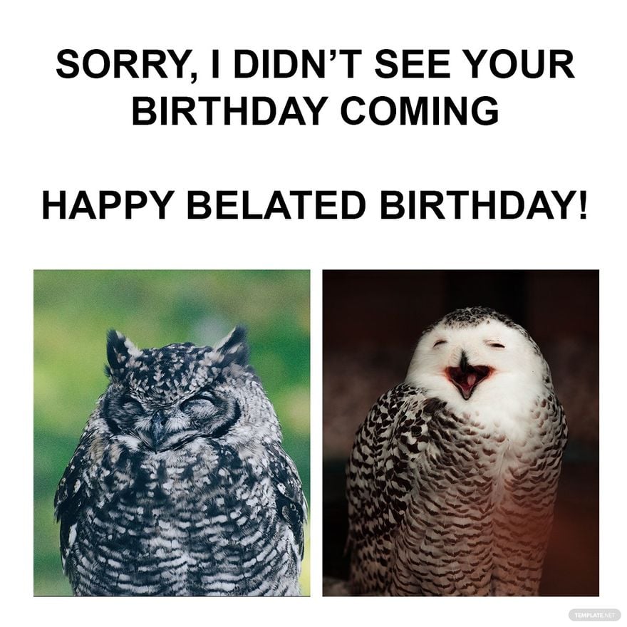 Free Funny Happy Belated Birthday Meme - Download in Illustrator, PSD, JPG, GIF, PNG