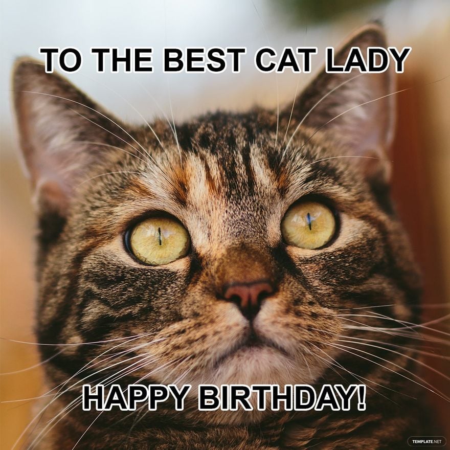 Free Happy Birthday Cat Meme For Her - GIF, Illustrator, JPG, PSD, PNG |  