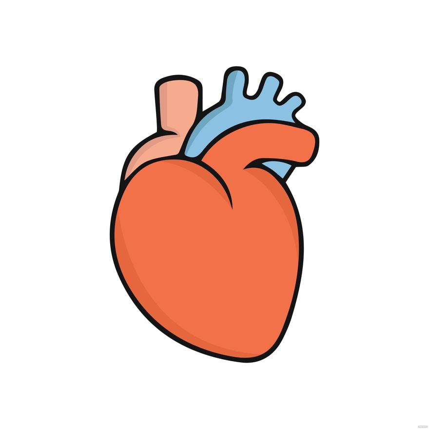 Human Heart Clipart In Illustrator Svg Eps Png Download
