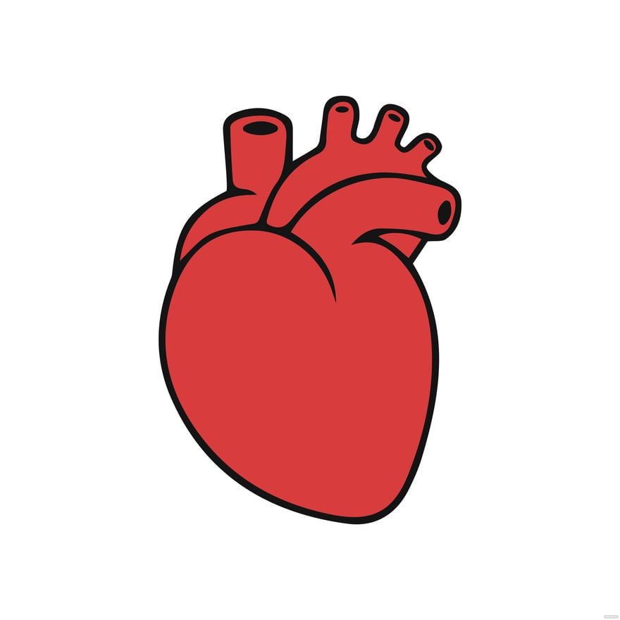 Simple Human Heart Clipart in Illustrator, EPS, SVG, JPG, PNG