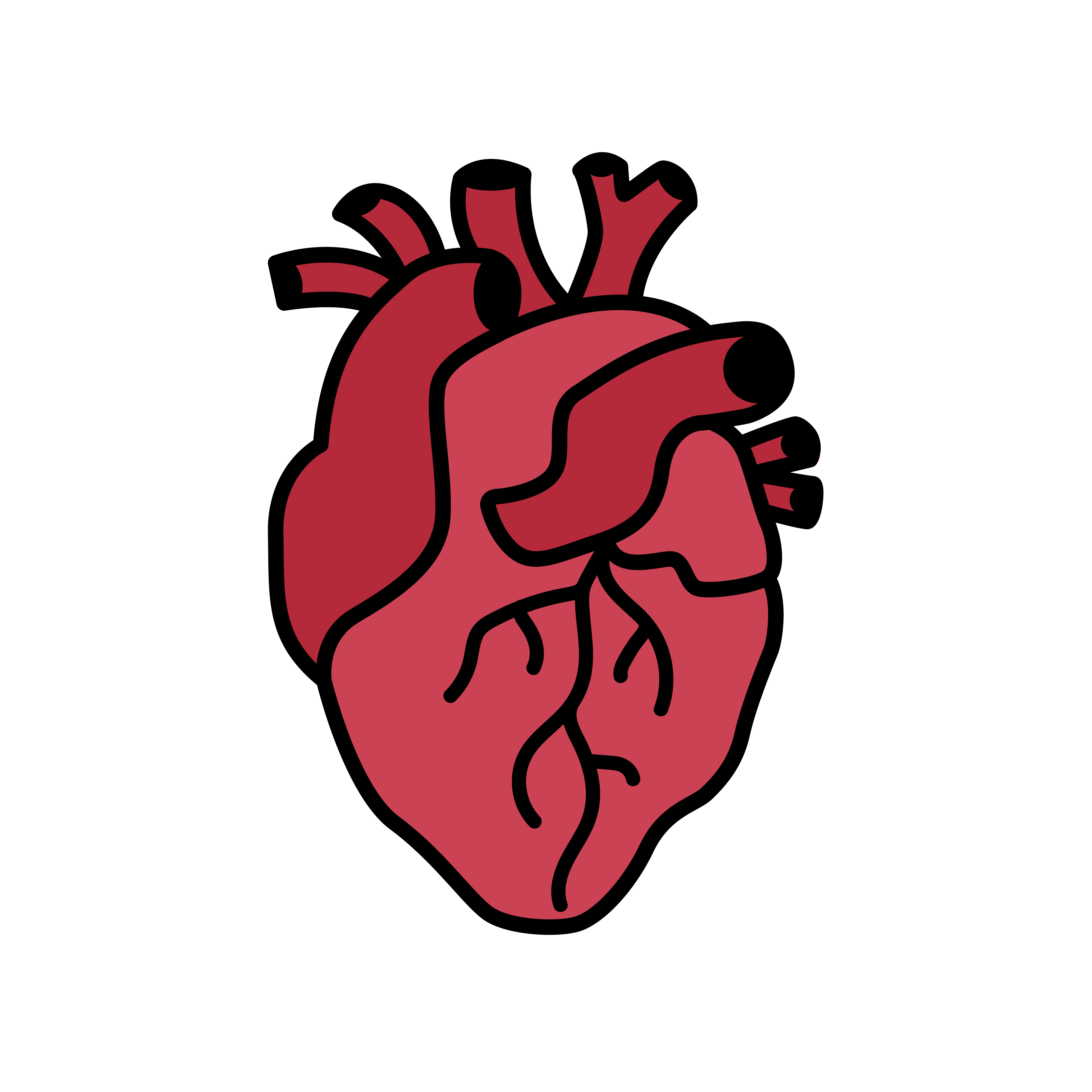 Free Simple Human Heart Clipart Download In Illustrator Eps Svg