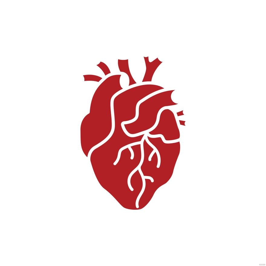 Transparent Human Heart Clipart in Illustrator, EPS, SVG, JPG, PNG