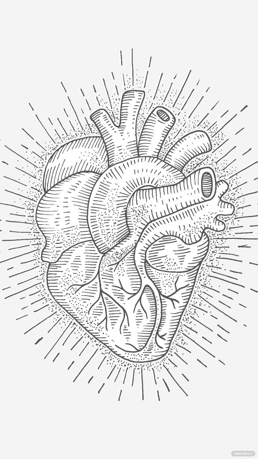 Free Anatomical Heart Background in Illustrator, EPS, SVG, JPG