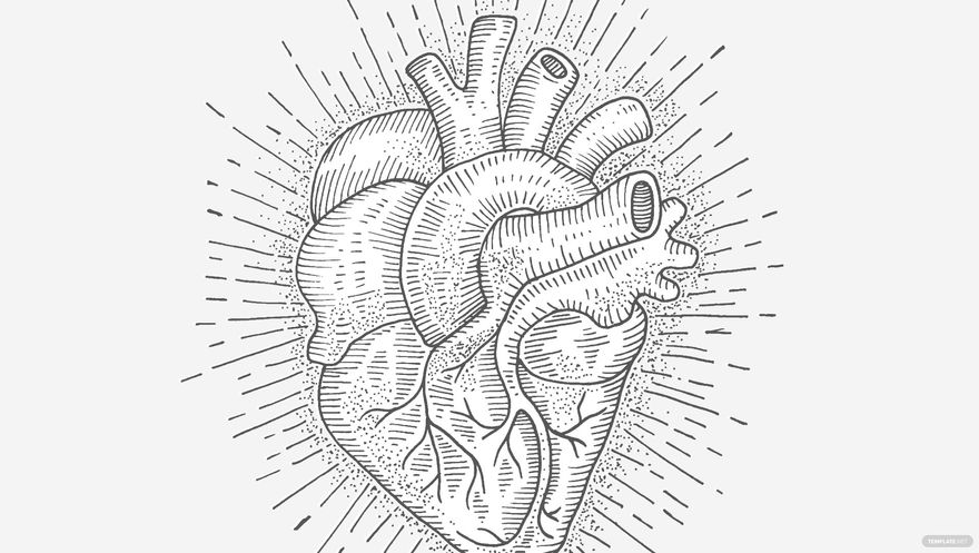 Anatomical Heart Background
