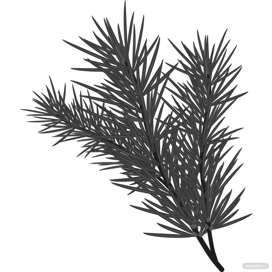 fir tree branch silhouette