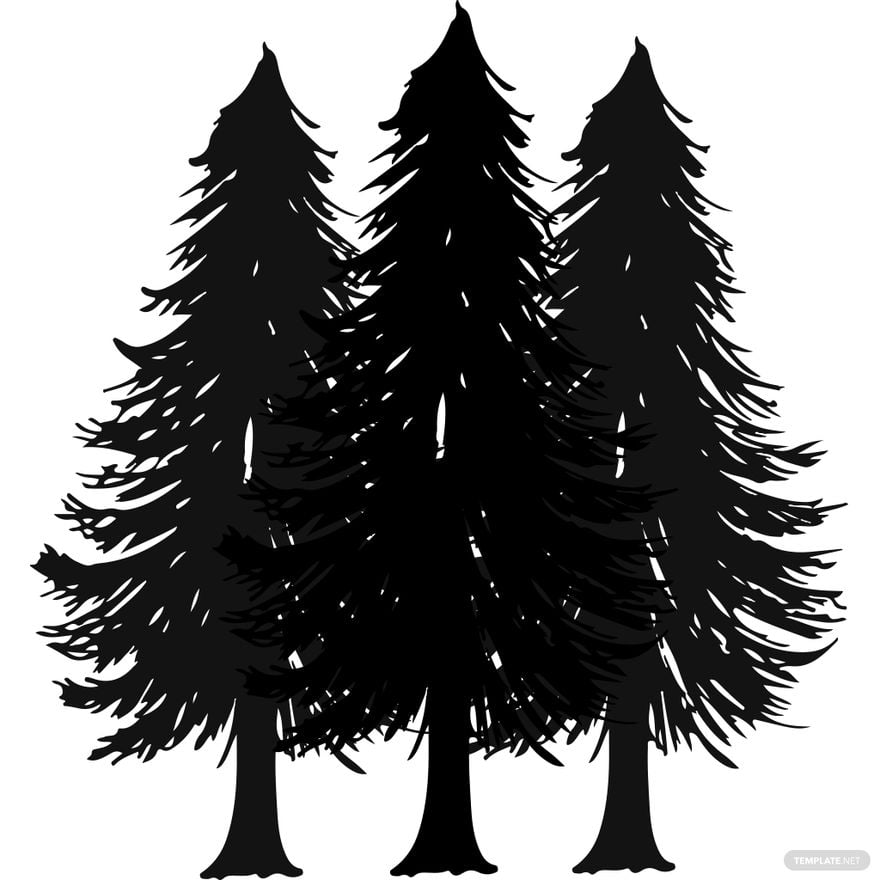 Tall Pine Tree Silhouette
