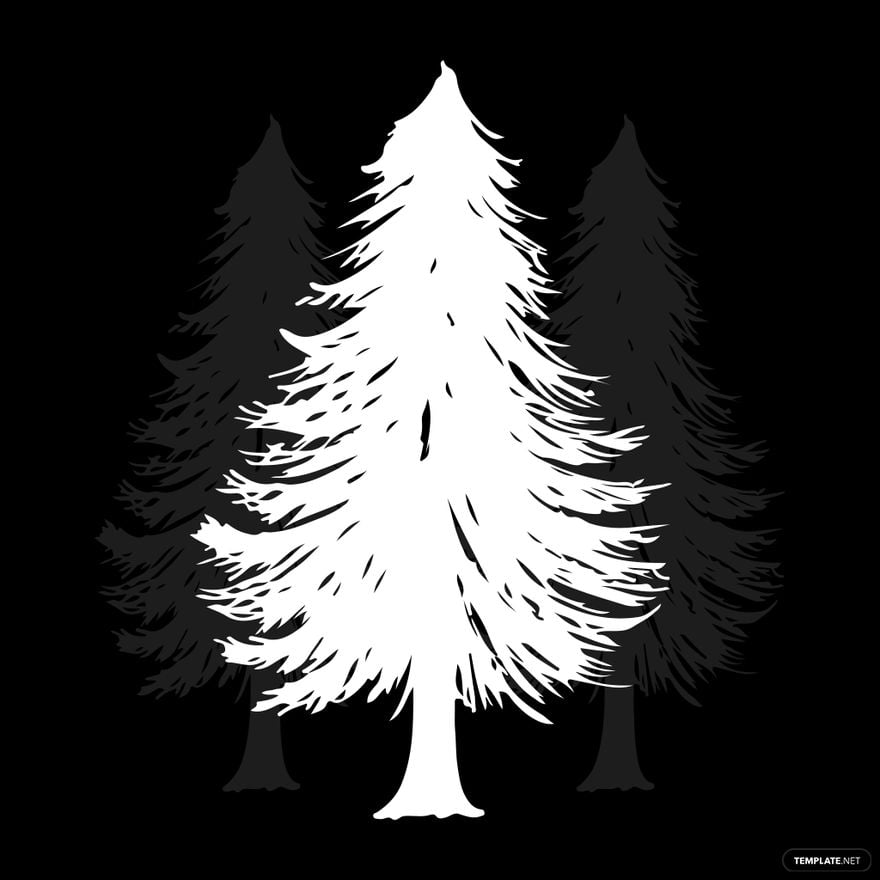 Free White Pine Tree Silhouette