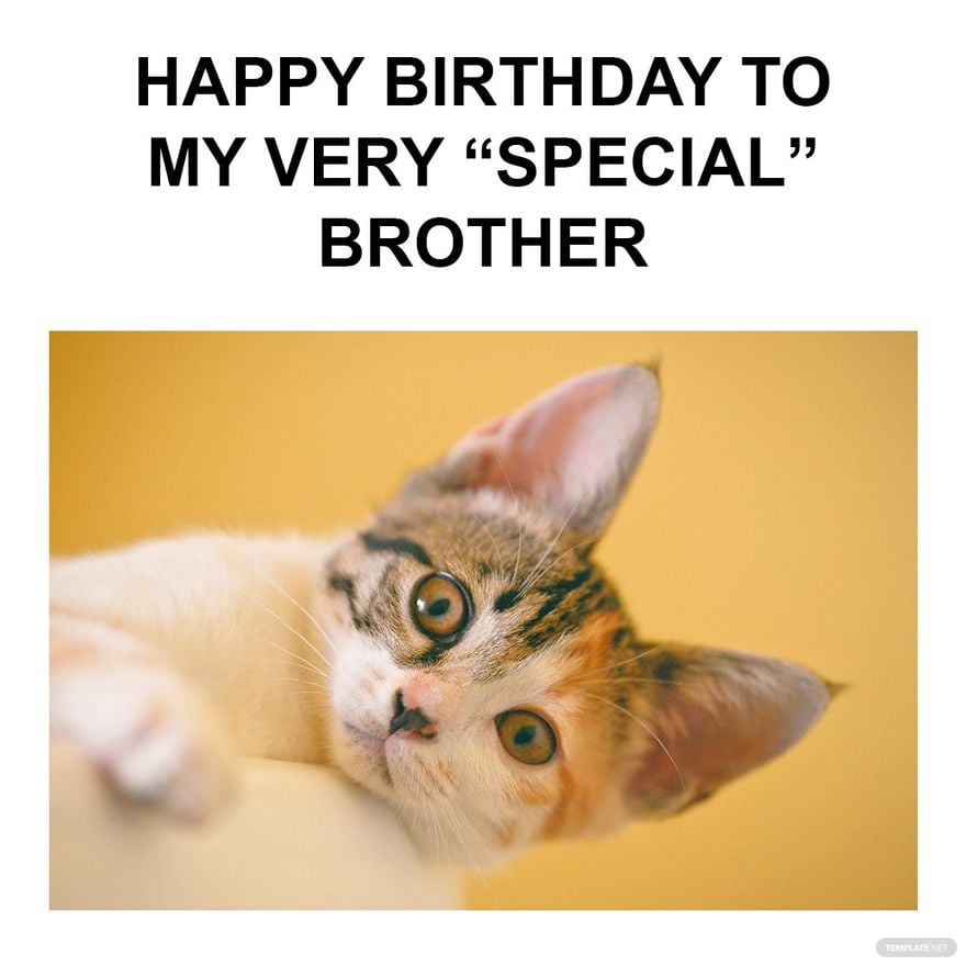 Free Happy Birthday Brother From Sister Funny Meme - GIF, Illustrator, JPG,  PSD, PNG 