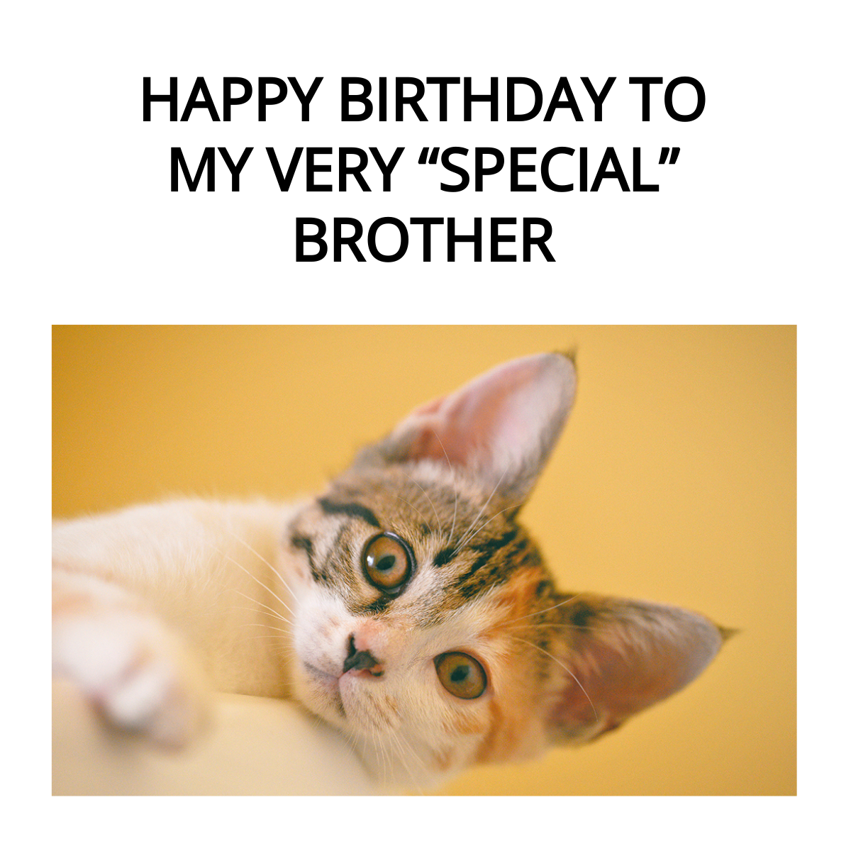 Happy Birthday Brother From Sister Funny Meme Template Edit Online 