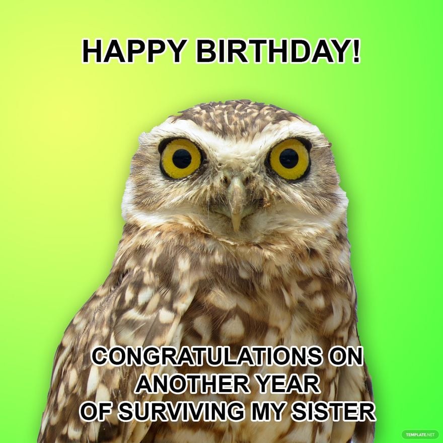 Free Happy Birthday Brother In Law Meme - Download in Illustrator, PSD, JPG, GIF, PNG