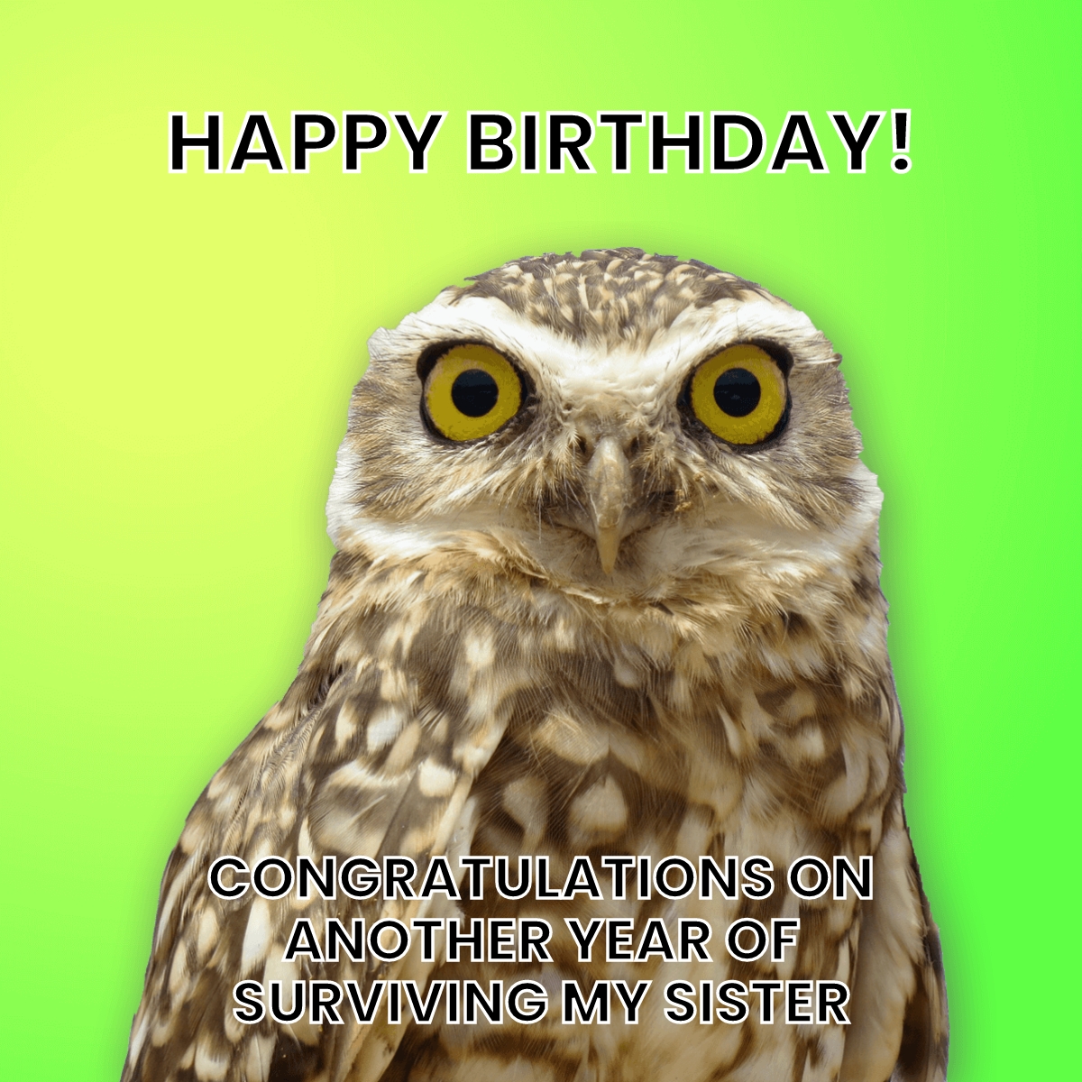 Proud Brother Memes proud-brother-memes