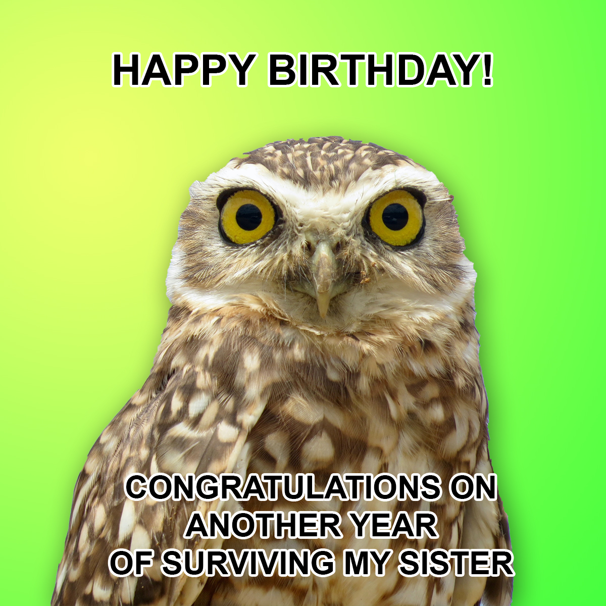 free-happy-birthday-brother-meme-download-in-illustrator-psd-jpg