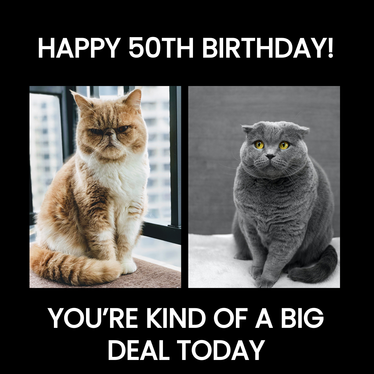 Free Happy 50th Birthday Meme For Her