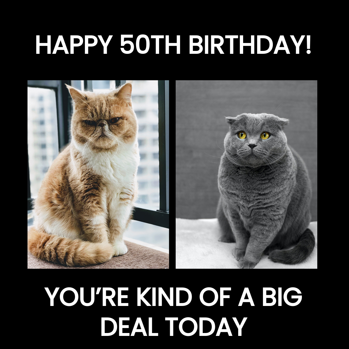 Happy 50th Birthday Meme For Her Template - Edit Online & Download Example  | Template.net