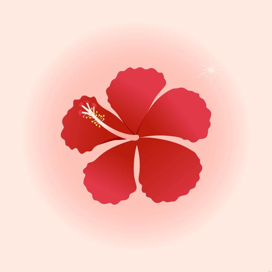 Hawaiian Hibiscus Flower Illustration