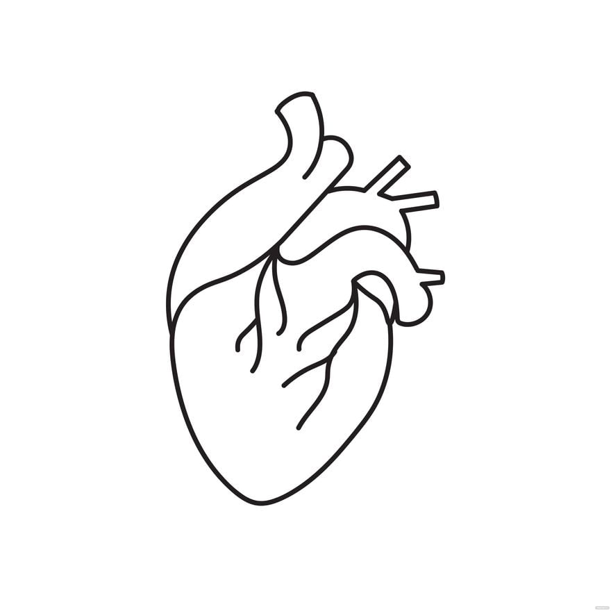 Human Heart Outline Clipart in Illustrator, EPS, SVG, JPG, PNG