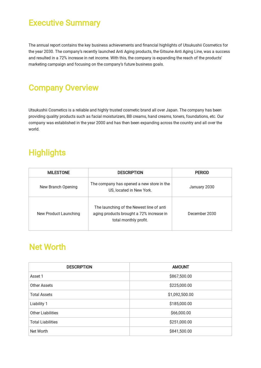 Annual Financial Report Template Word