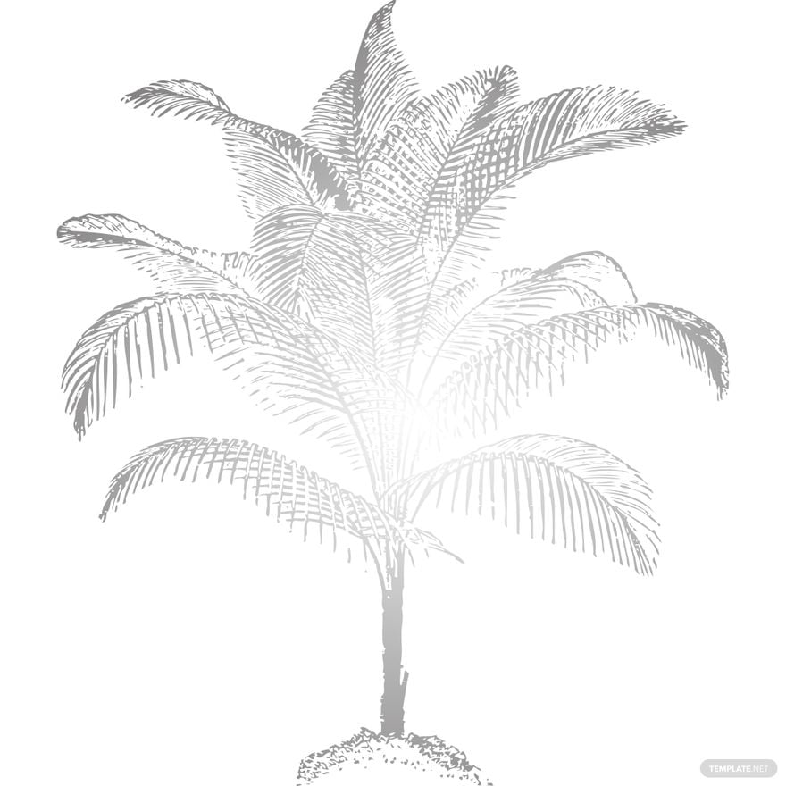 Transparent Palm Tree Silhouette