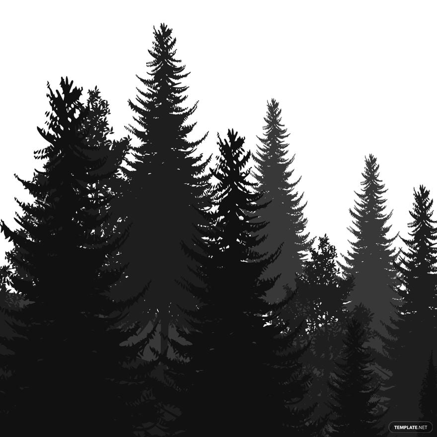 real pine trees silhouette