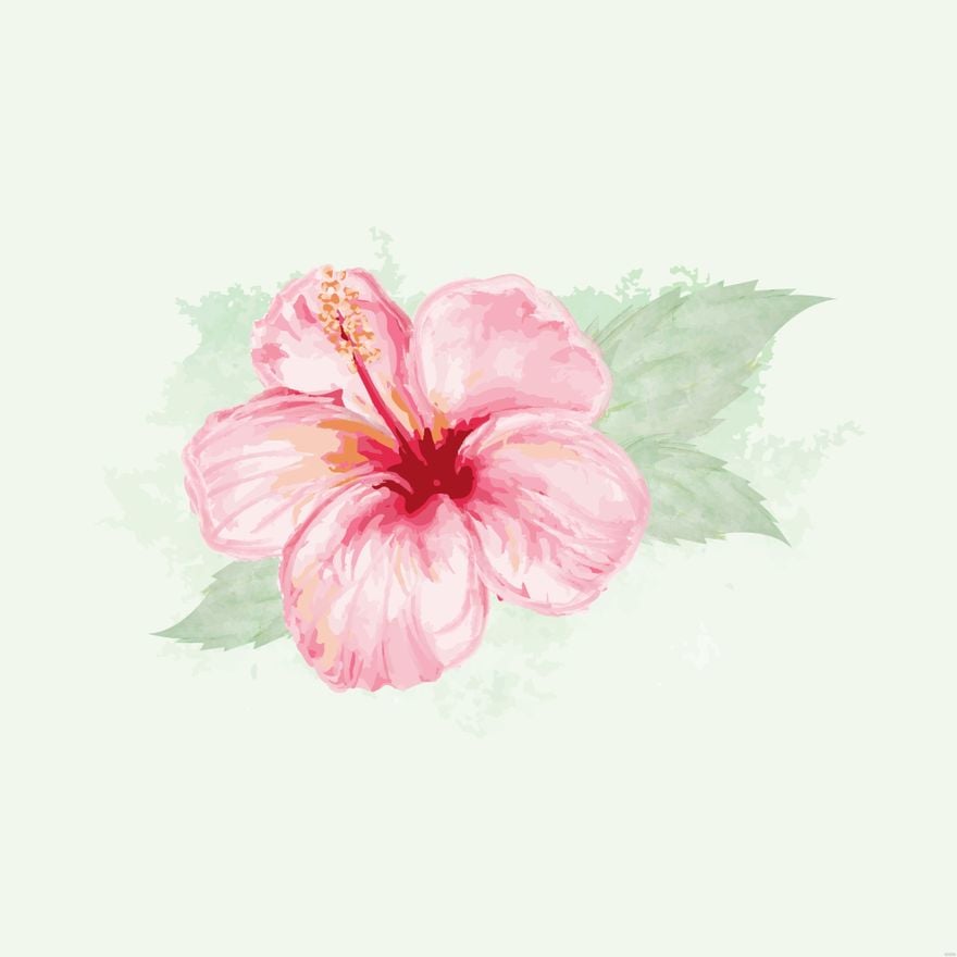 Free Watercolor Hibiscus Flower Illustration