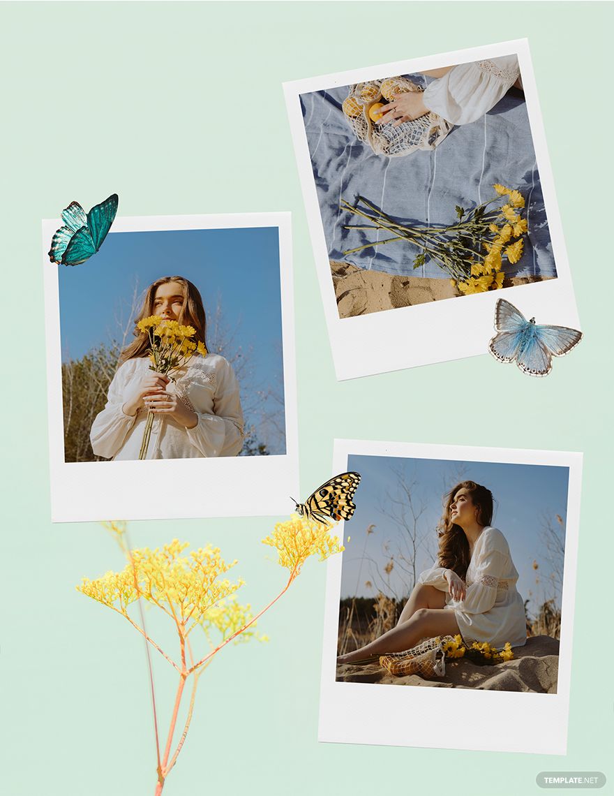 Butterfly Photo Collage Template