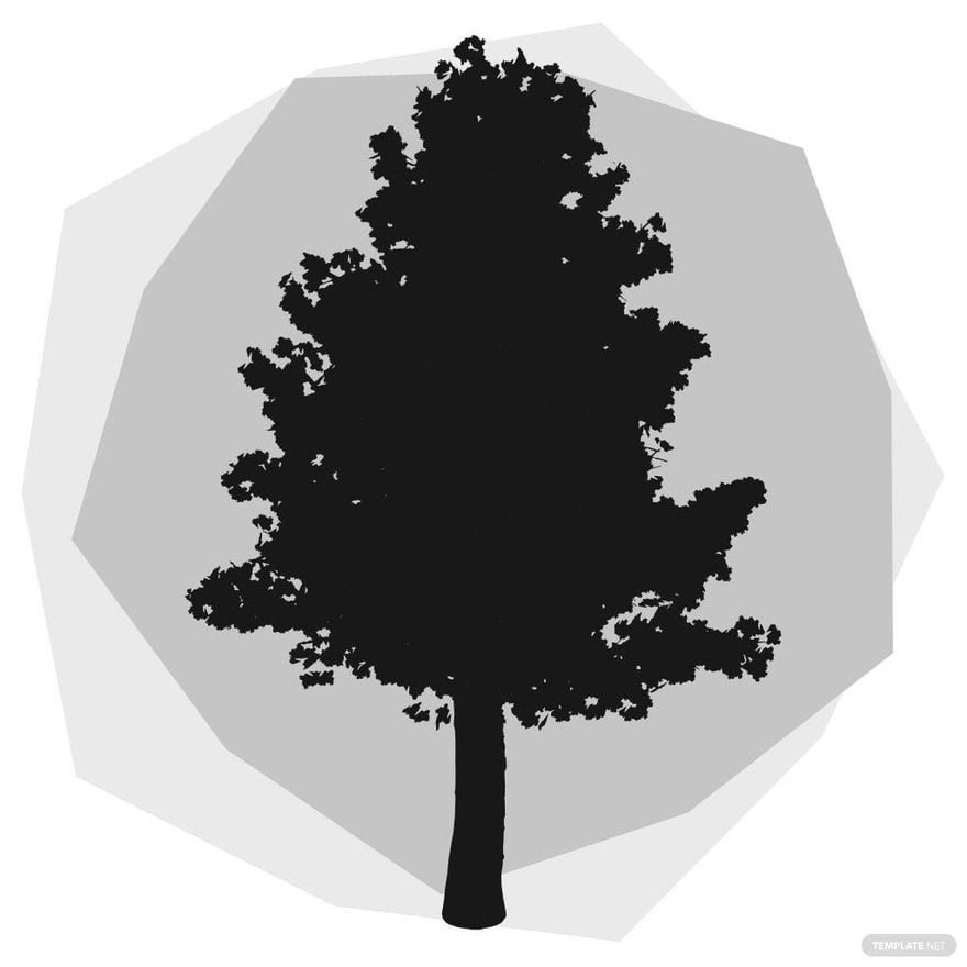 Free Evergreen Tree Silhouette in Illustrator, PSD, EPS, SVG, JPG, PNG