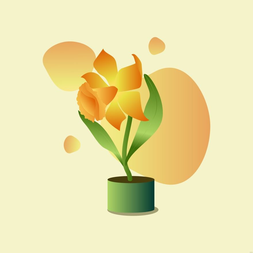 Free Daffodil Flower Illustration