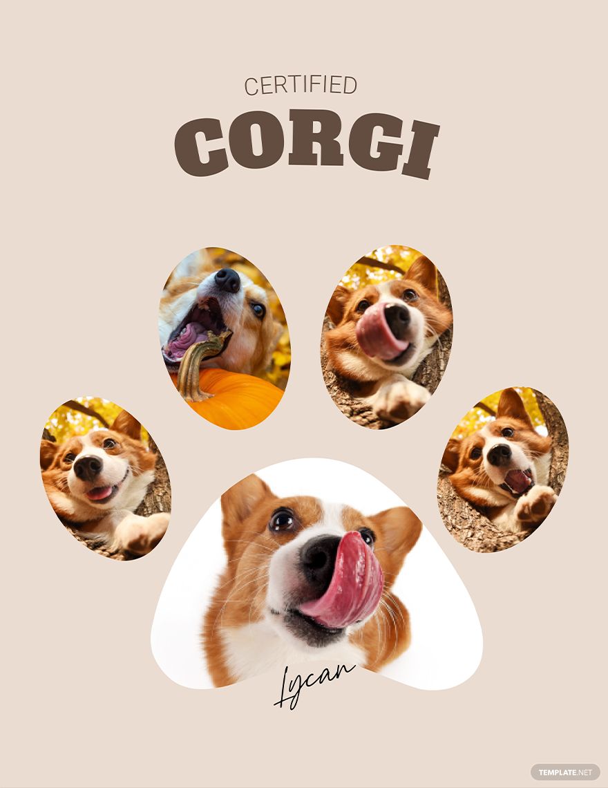 Dog Photo Collage