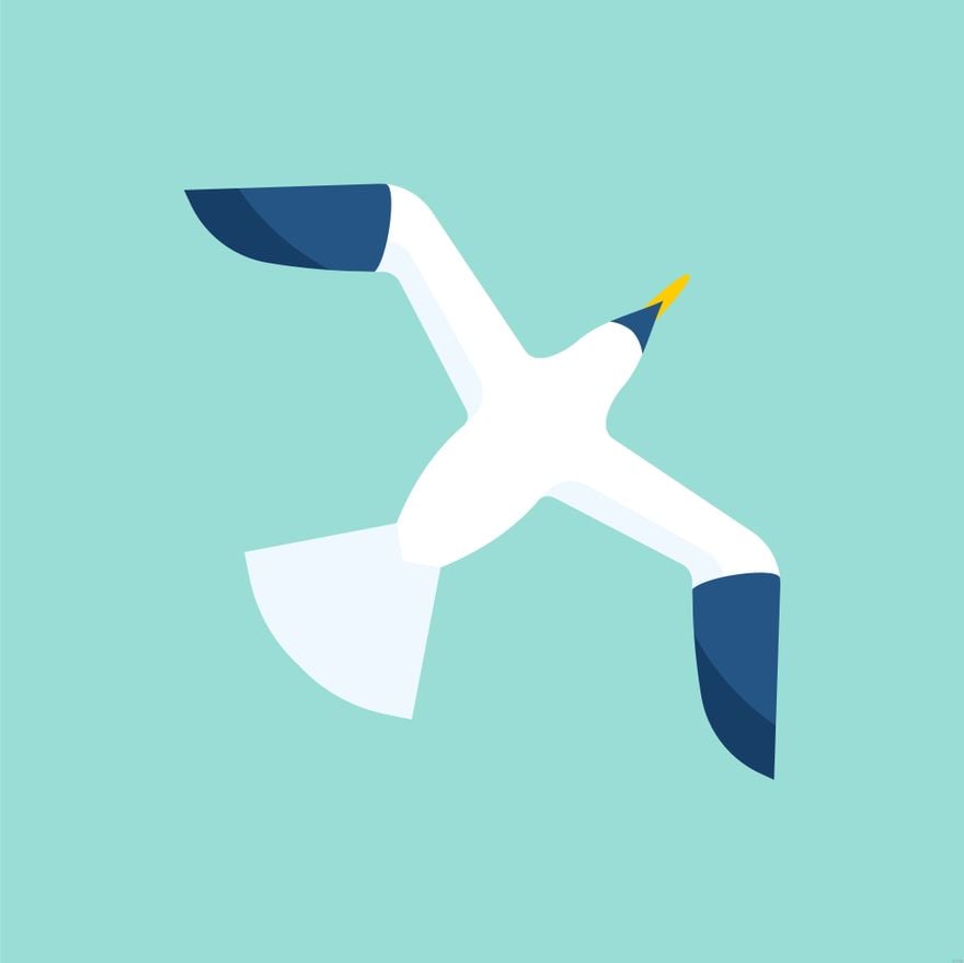 Free Seagull Vector template in Illustrator