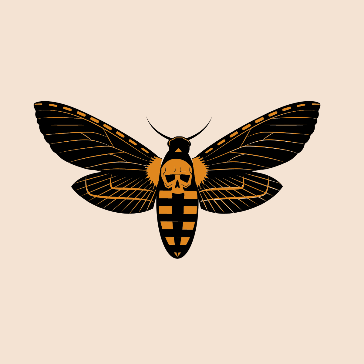 Deaths Head Hawk moth Vector