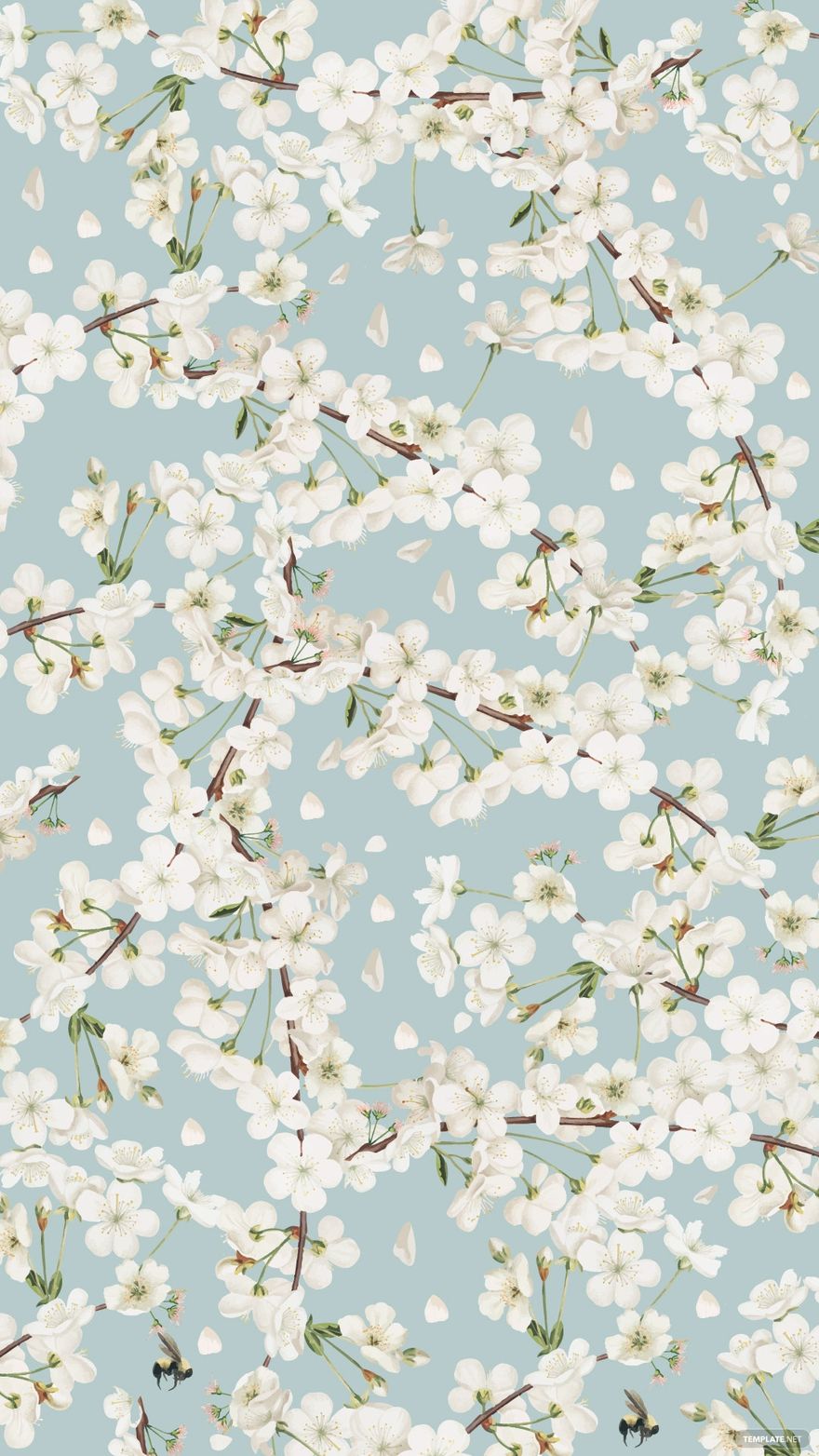 White Flower iPhone Background