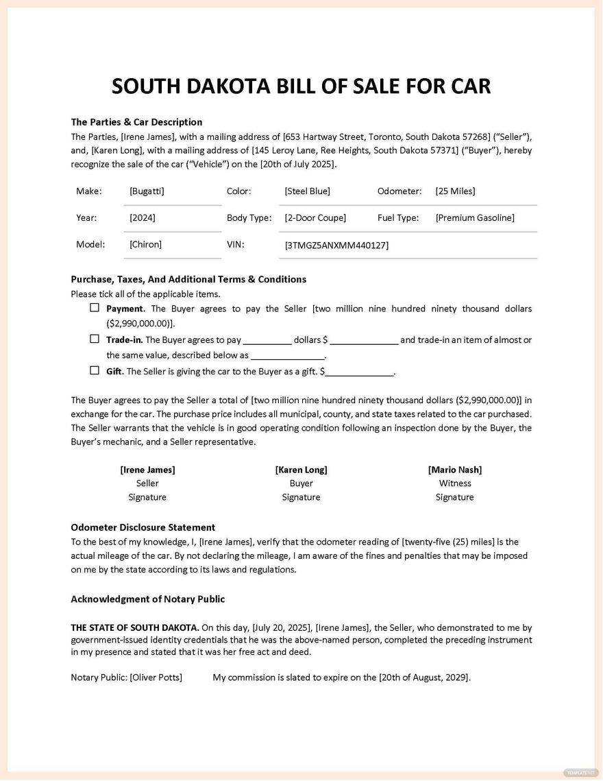 Car Bill of Sale Template - Google Docs, Google Sheets, Word, PDF ...