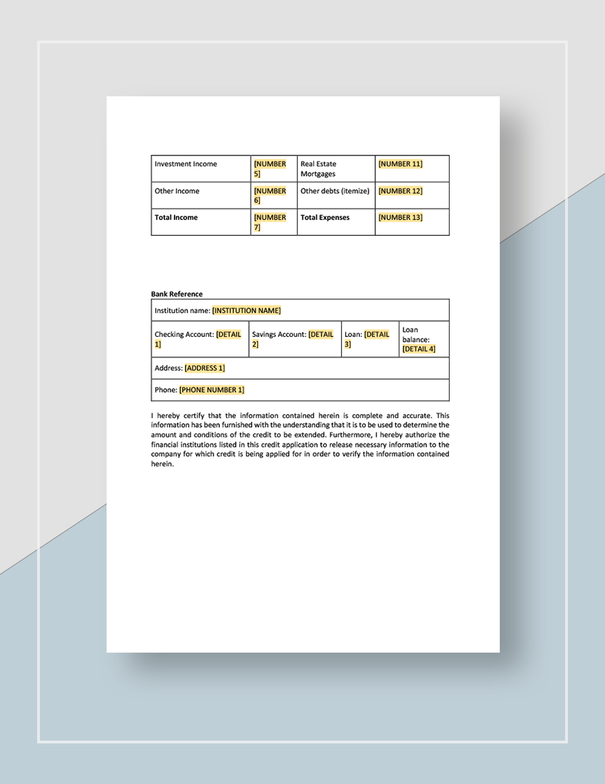 Consumer Credit Application Template