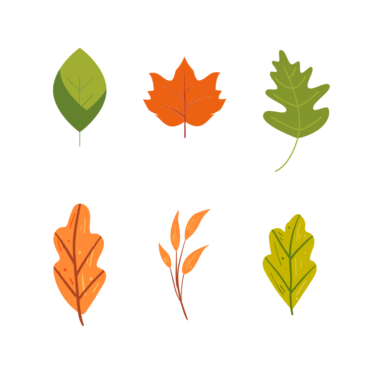 Thanksgiving Leaves Vector Template