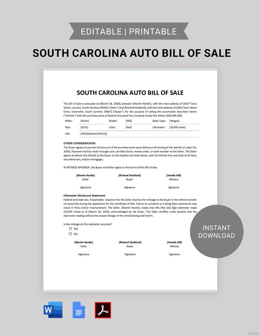 South Carolina Auto Bill of Sale Template in Word, Google Docs, PDF
