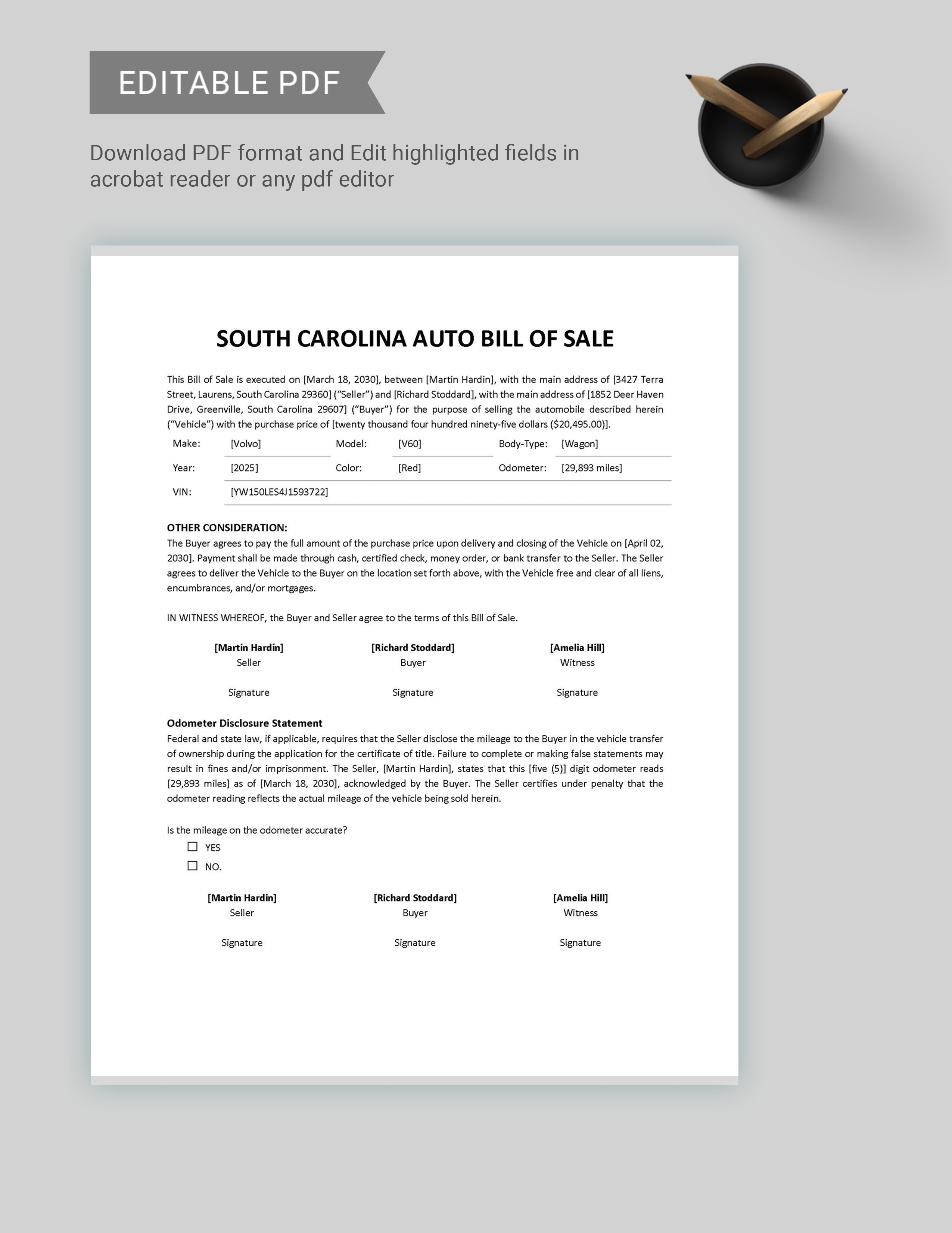 South Carolina Auto Bill of Sale Template