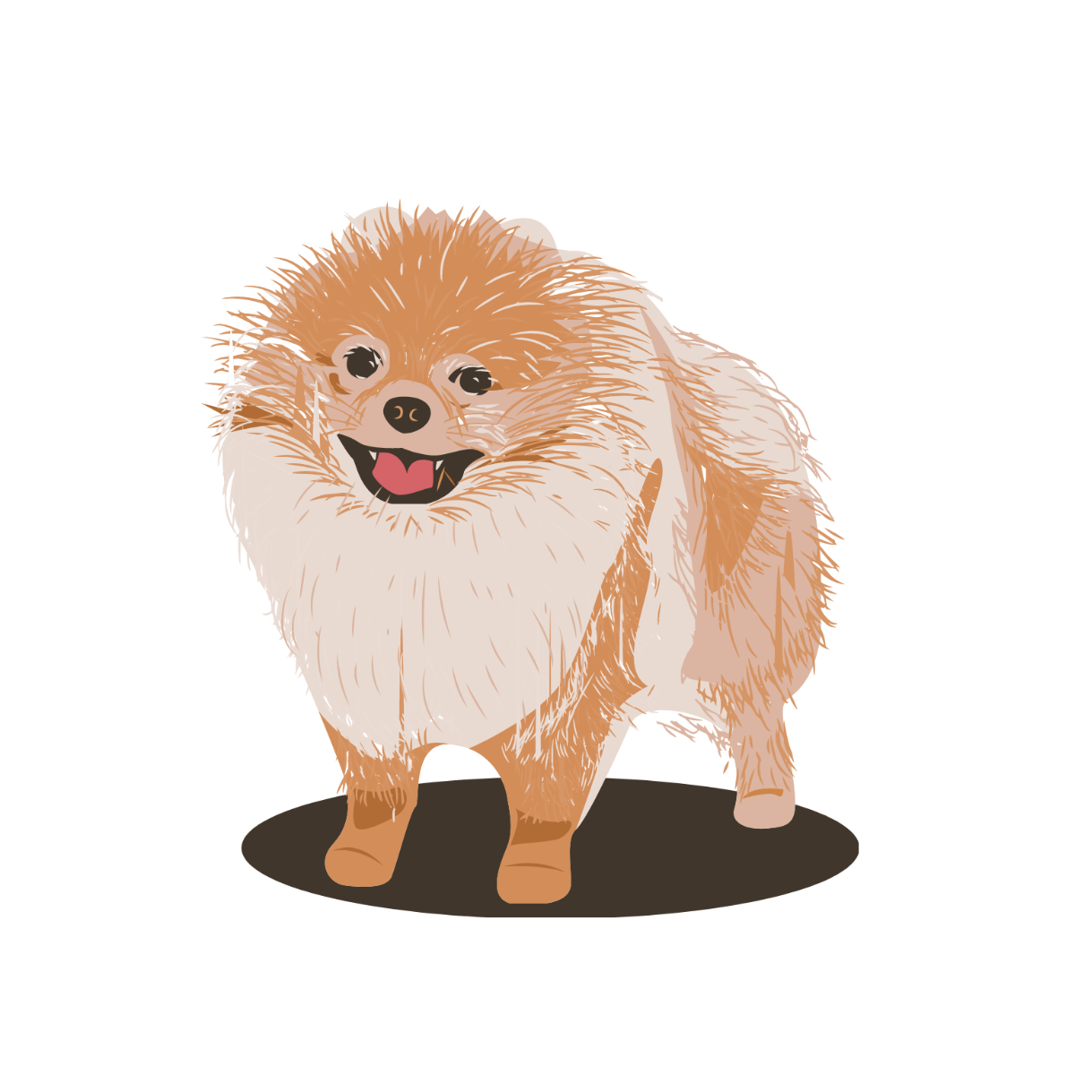 Pomeranian Dog Vector Template