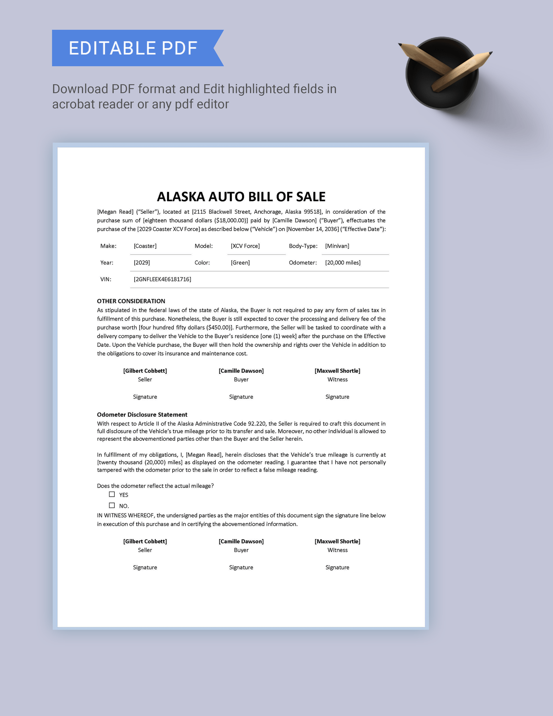 Alaska Auto Bill of Sale Form Template in Word PDF Google Docs