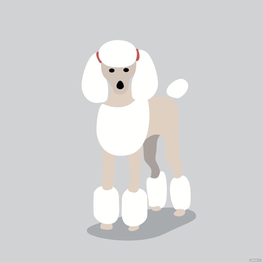 Poodle Dog Vector in Illustrator, EPS, SVG, JPG, PNG