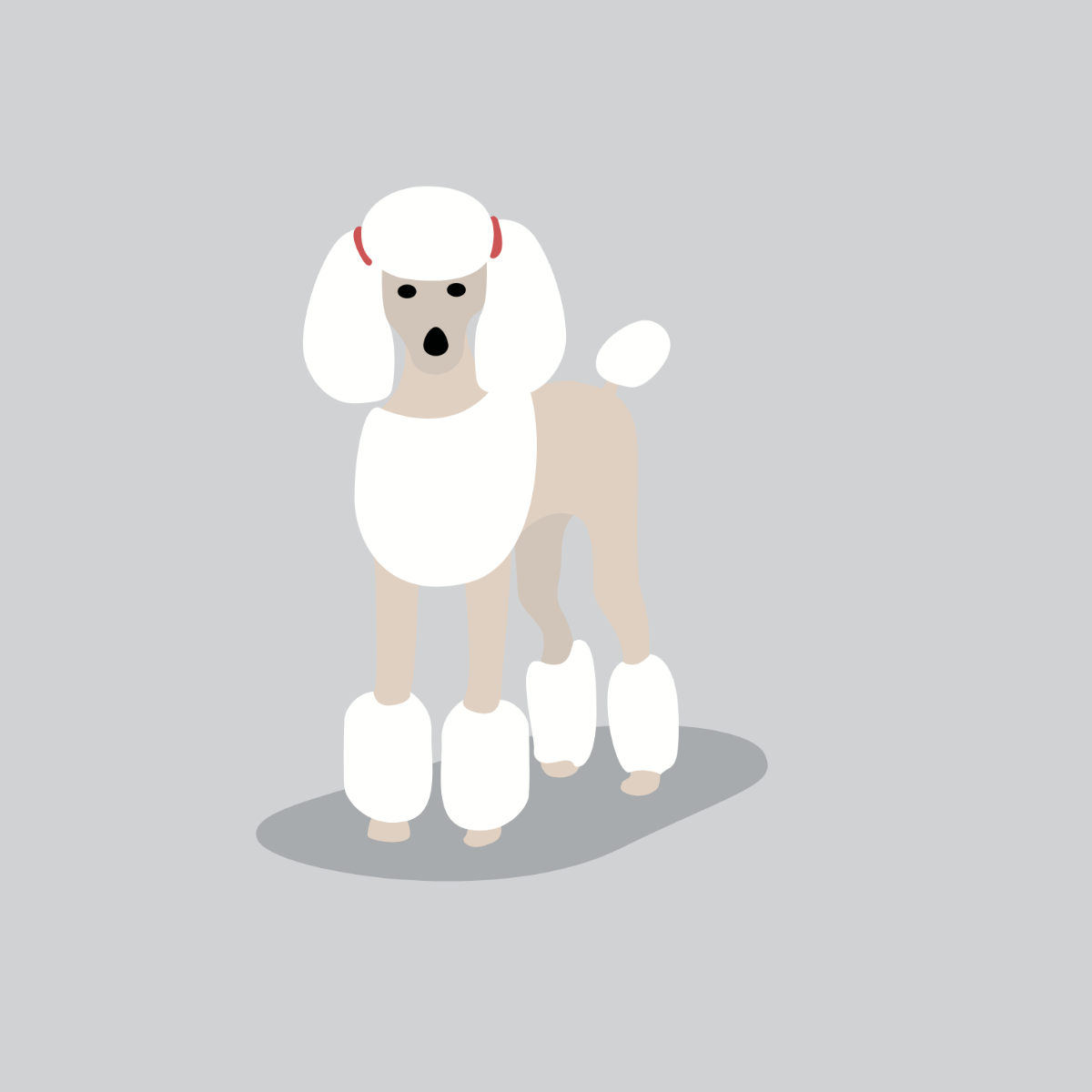 Poodle Dog Vector Template