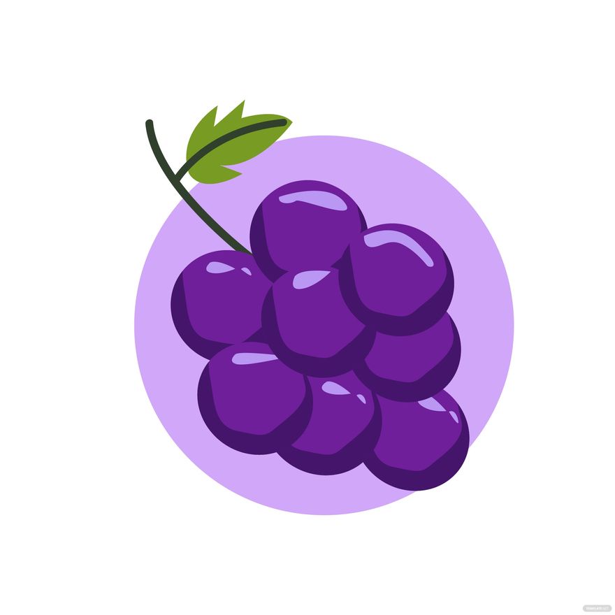 Grapes Vector Template