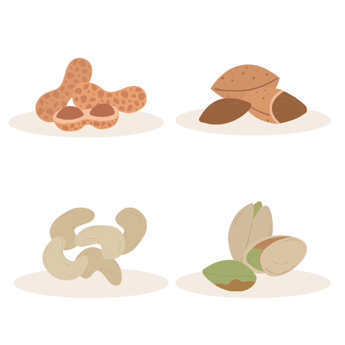 Free Nut Vector Template