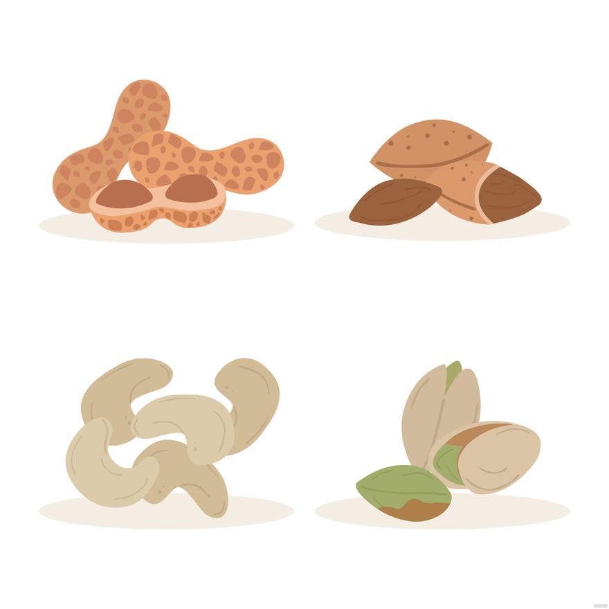 Free Nut Vector in Illustrator, EPS, SVG, JPG, PNG