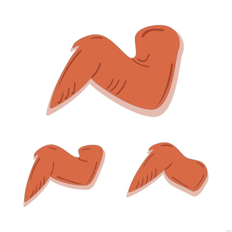 Chicken Wings Vector