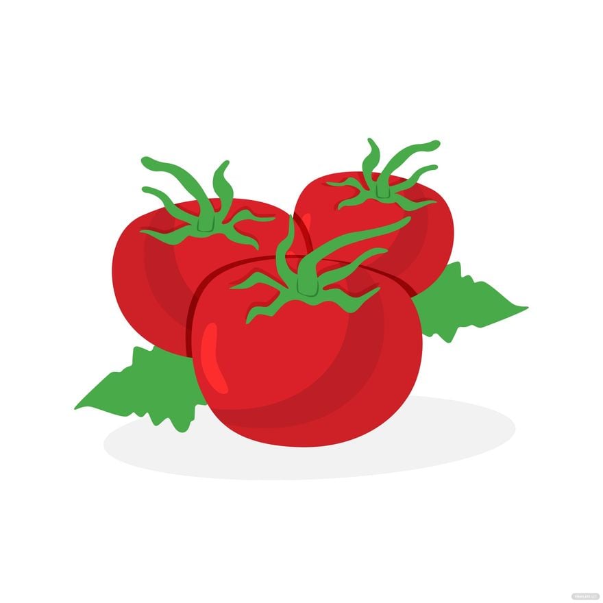 Tomato Vector in Illustrator, EPS, SVG, JPG, PNG