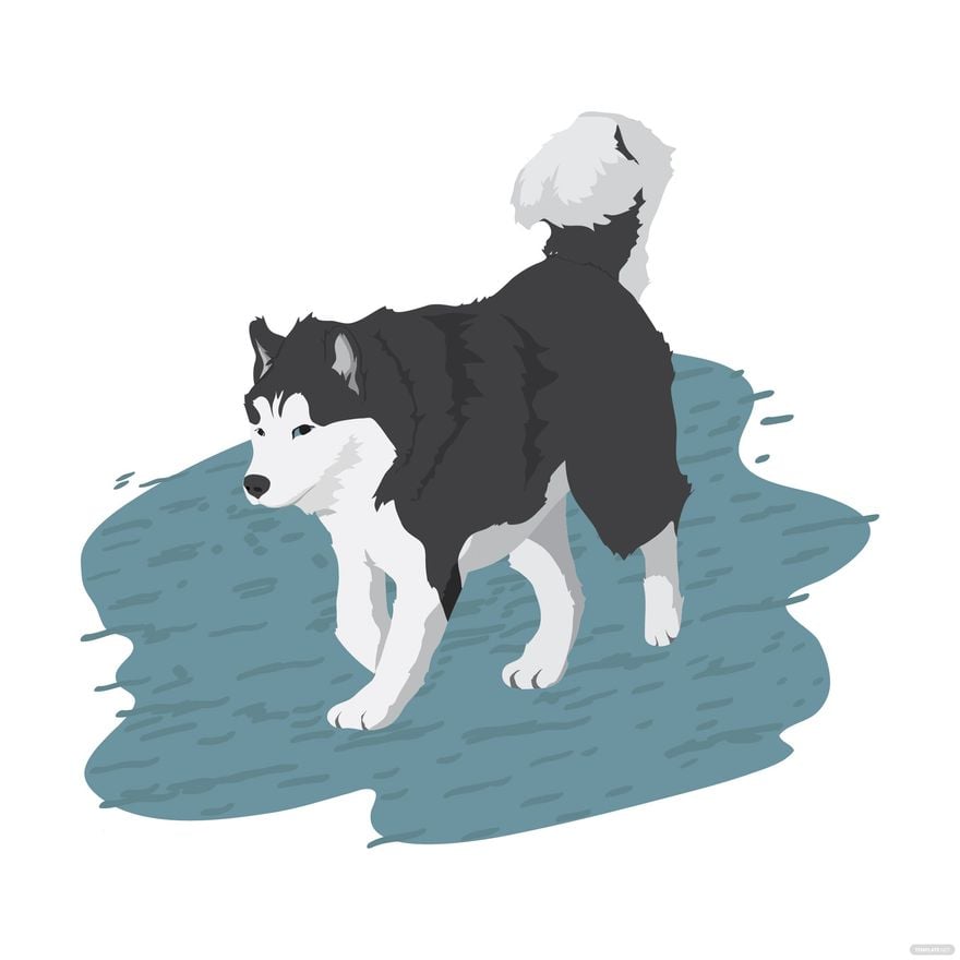 Husky Dog Vector in Illustrator, EPS, SVG, JPG, PNG