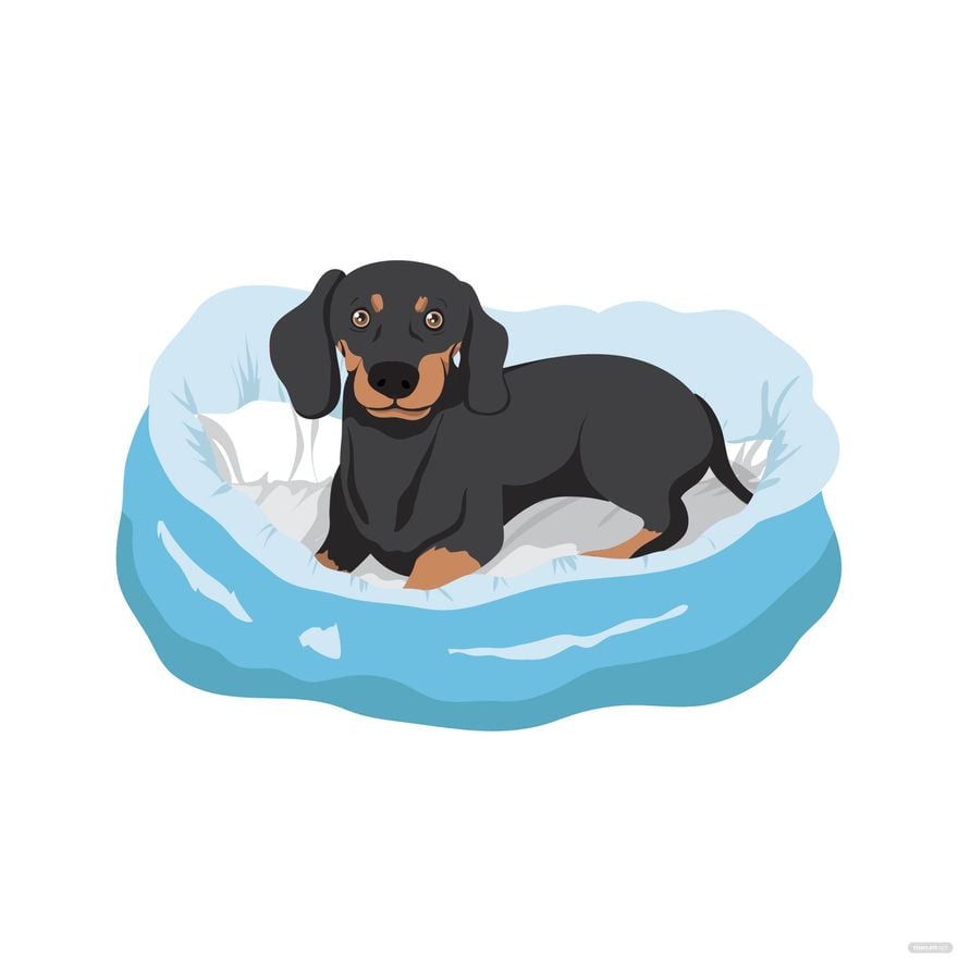 Free Weiner Dog Vector in Illustrator, EPS, SVG, JPG, PNG