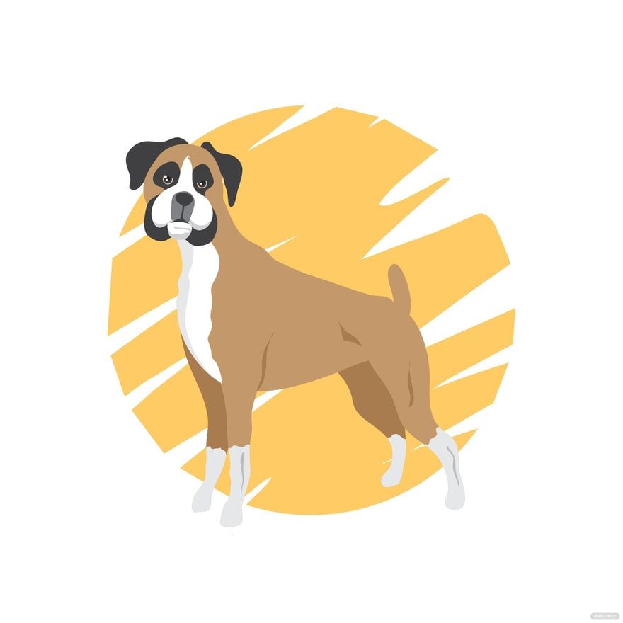 Free Boxer Dog Vector in Illustrator, EPS, SVG, JPG, PNG