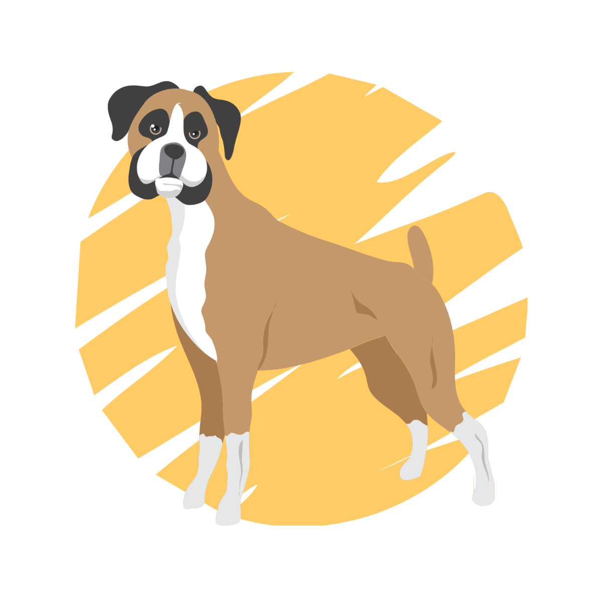 Free Boxer Dog Vector Template